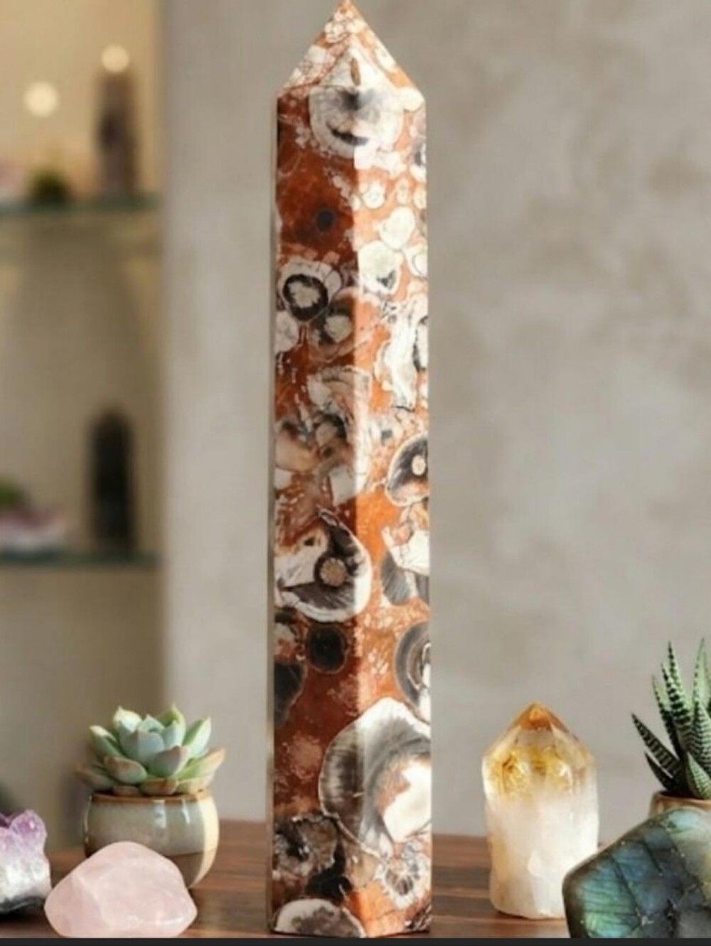 ✨️NEW! Large HG Money Agate Crystal Tower-7" Hefty Beautiful Statement Crystal🌙